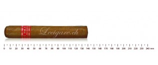 Partagas Série E No.2 (5)