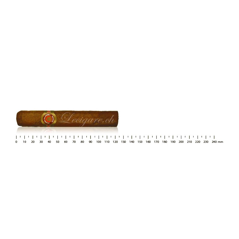 Ramon Allones Specially Selected (50)