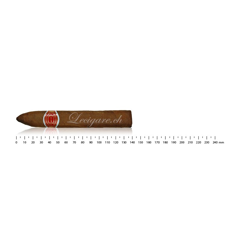 Romeo y Julieta Belicosos