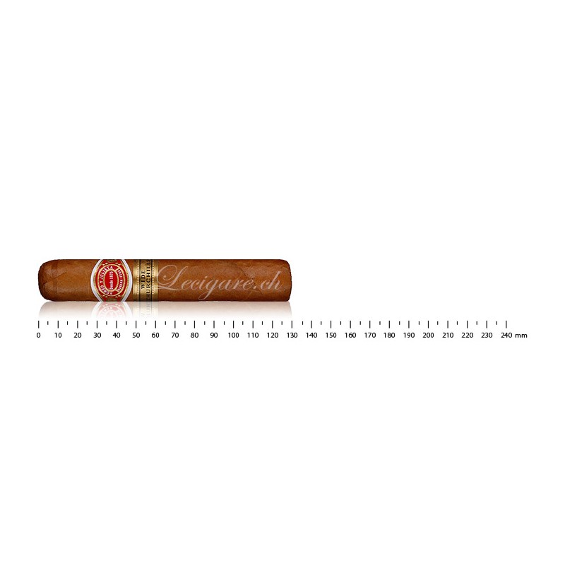 Romeo y Julieta Wide Churchills (10)