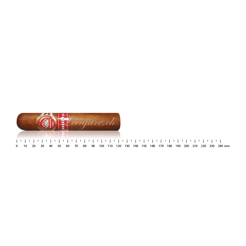 H.Upmann Magnum 54 (10)