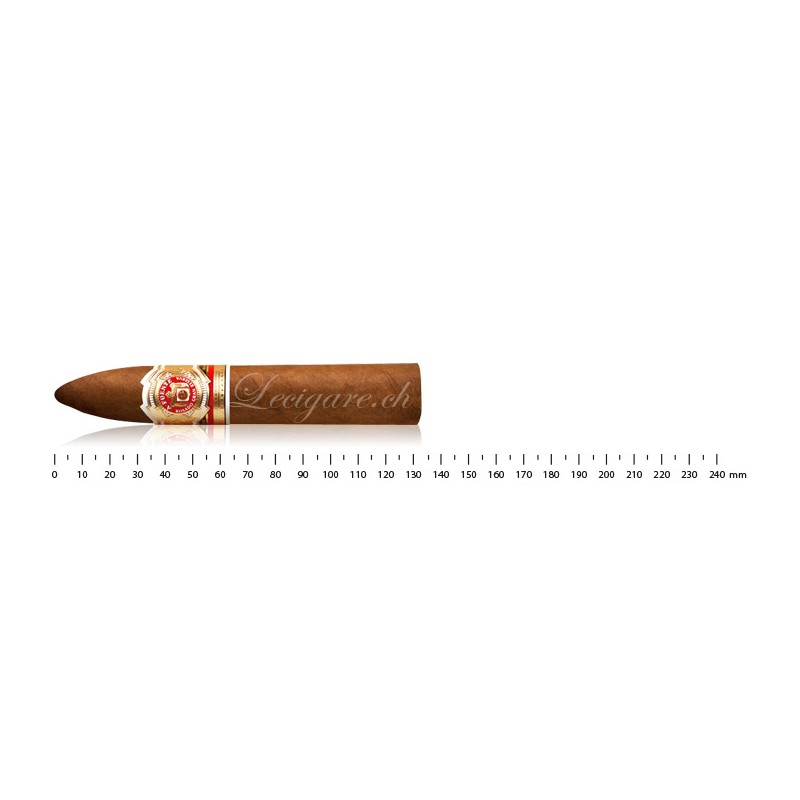Arturo Fuente Rosado Sungrown 58