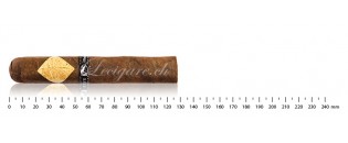 Cavalier Genève Série Black Robusto Gordo