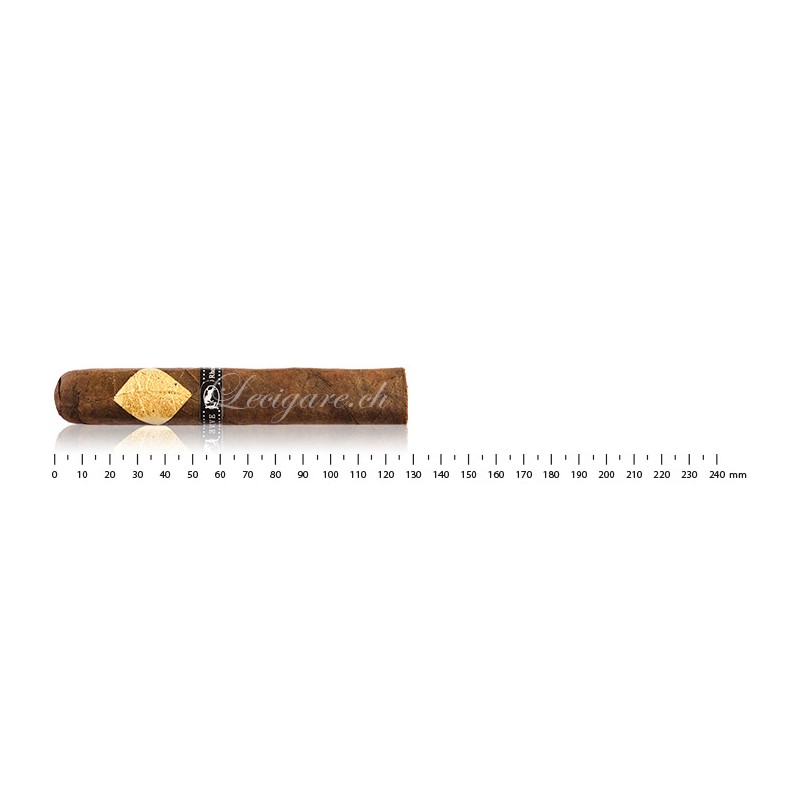 Cavalier Genève Série Black Robusto Gordo