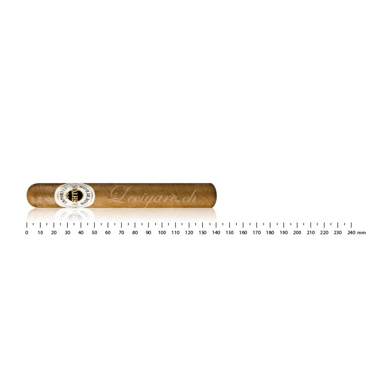 Ashton Classic Corona