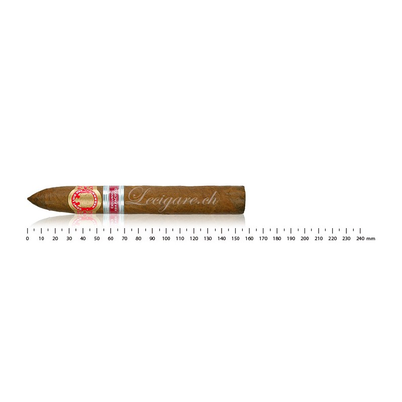Saint Luis Rey Pacifico Asian Regional Production 2009