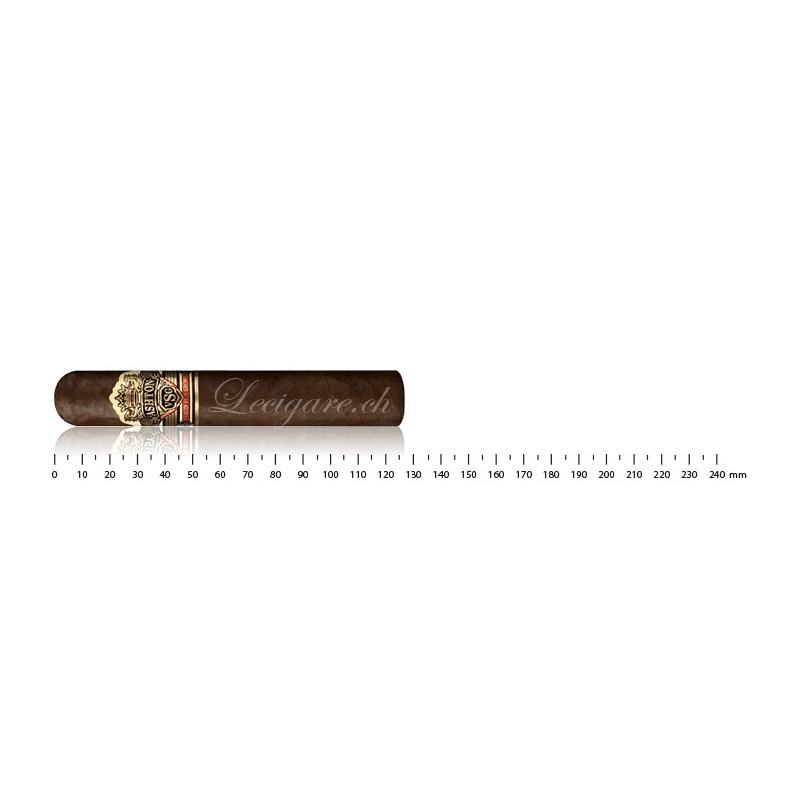 Ashton VSG Pegasus