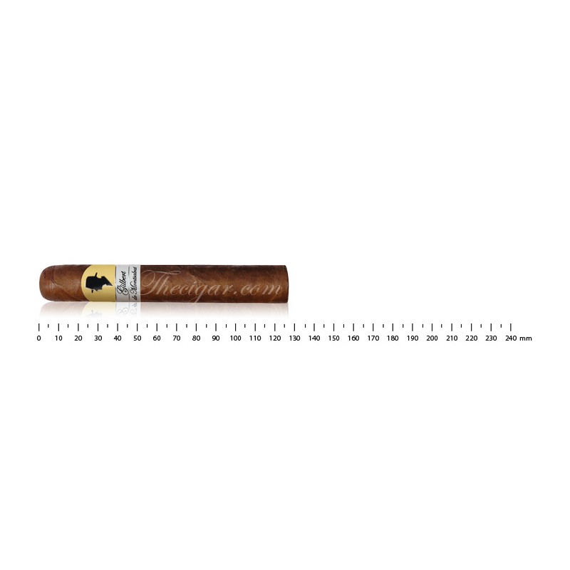 Gilbert de Montsalvat Révolution Style Robusto