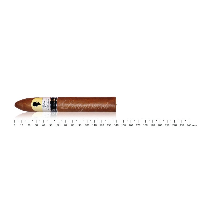 Gilbert de Montsalvat Revolution Style Belicolissimo