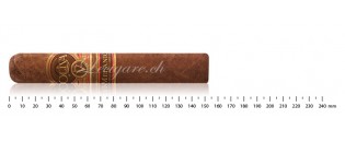 Oliva Série V Melanio Double Toro  