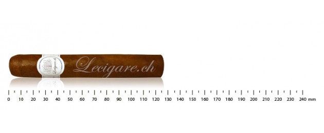 Sélection Lecigare - Classic Line - Robusto