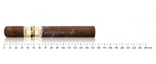 The Traveler Dubai maduro