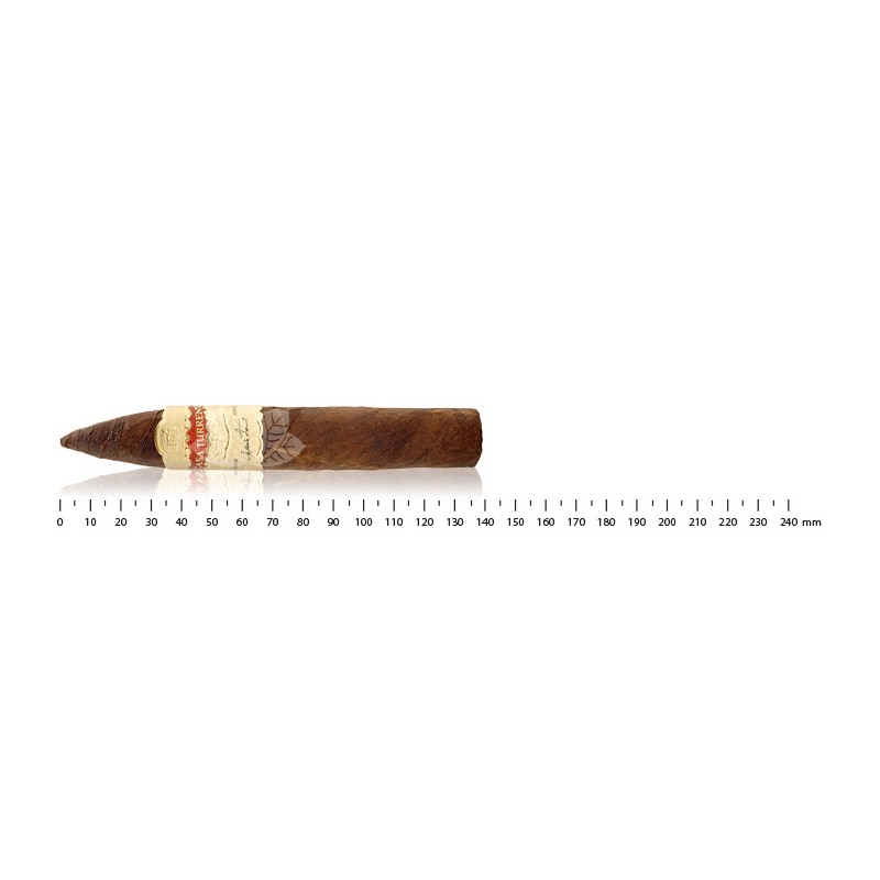 Casa Turrent Torpedo     