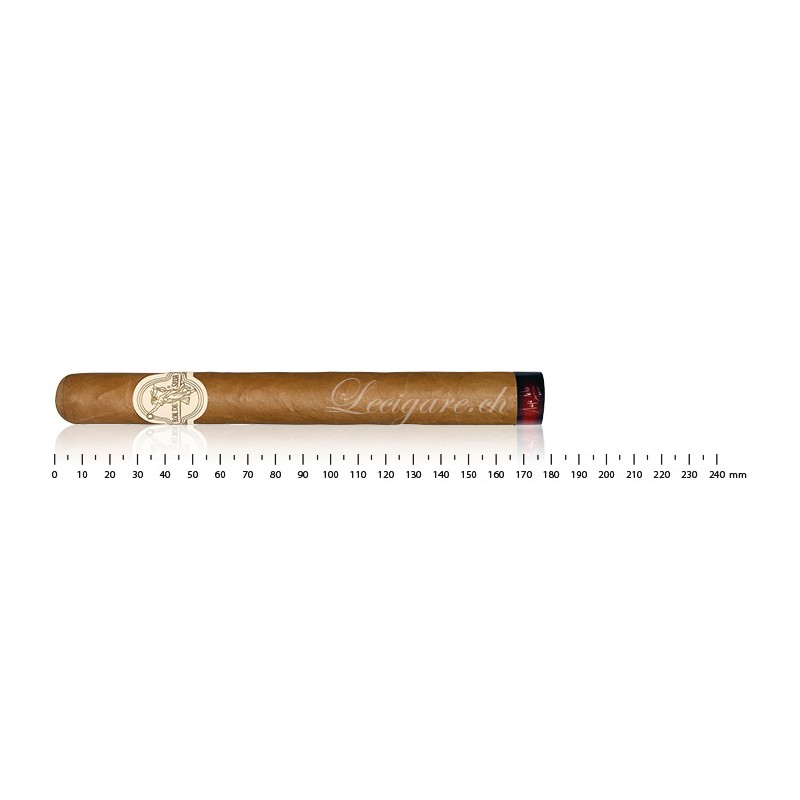 Flor de Selva Churchill