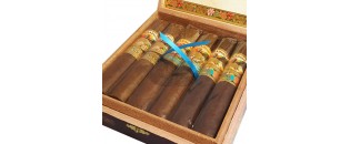 Paradiso 6x60 Sampler