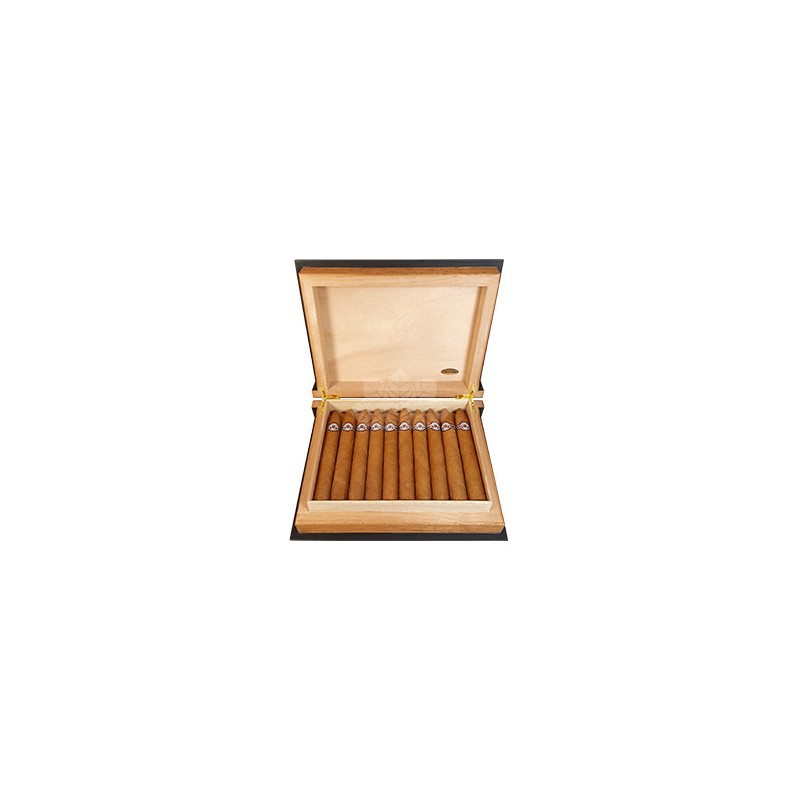 Book Montecristo Gran Piramides 2017