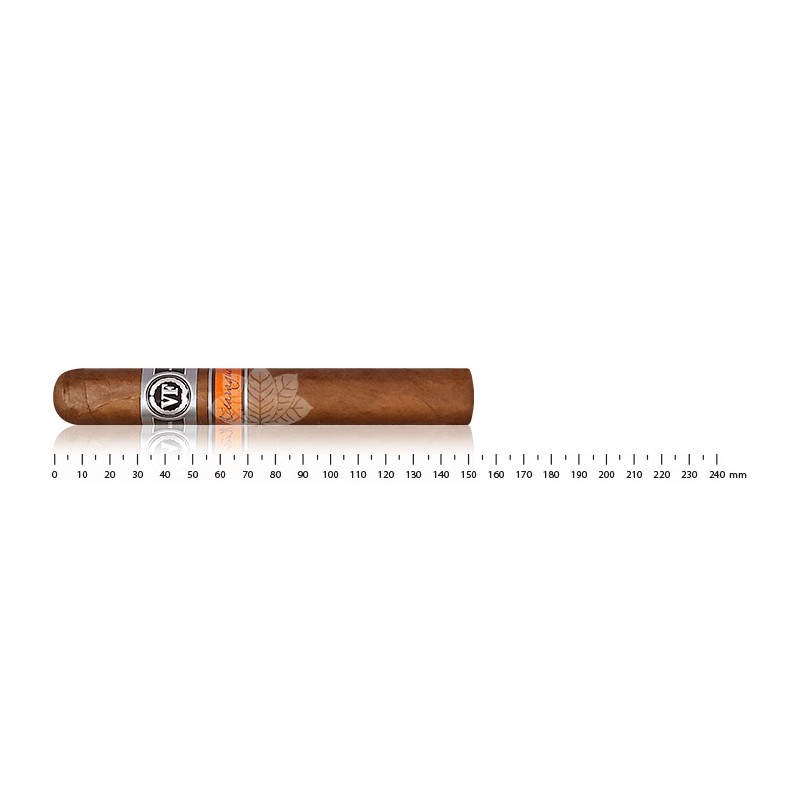 Vega Fina Nicaragua Gran Toro