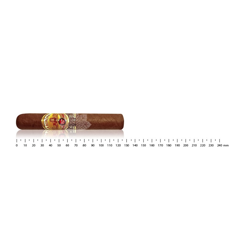 La Aurora 107 Nicaragua Robusto