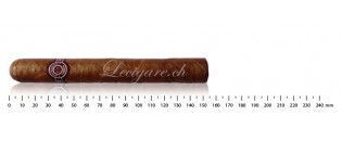 Montecristo Double Edmundo (10)