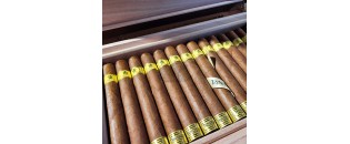 Trinidad Robusto Extra Travel Humidor