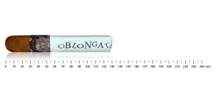 Asylum 13 Medulla Oblongata Robusto