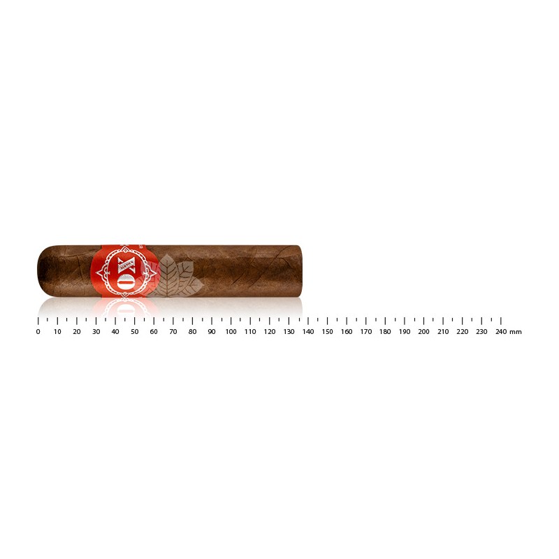 OX Red Rock