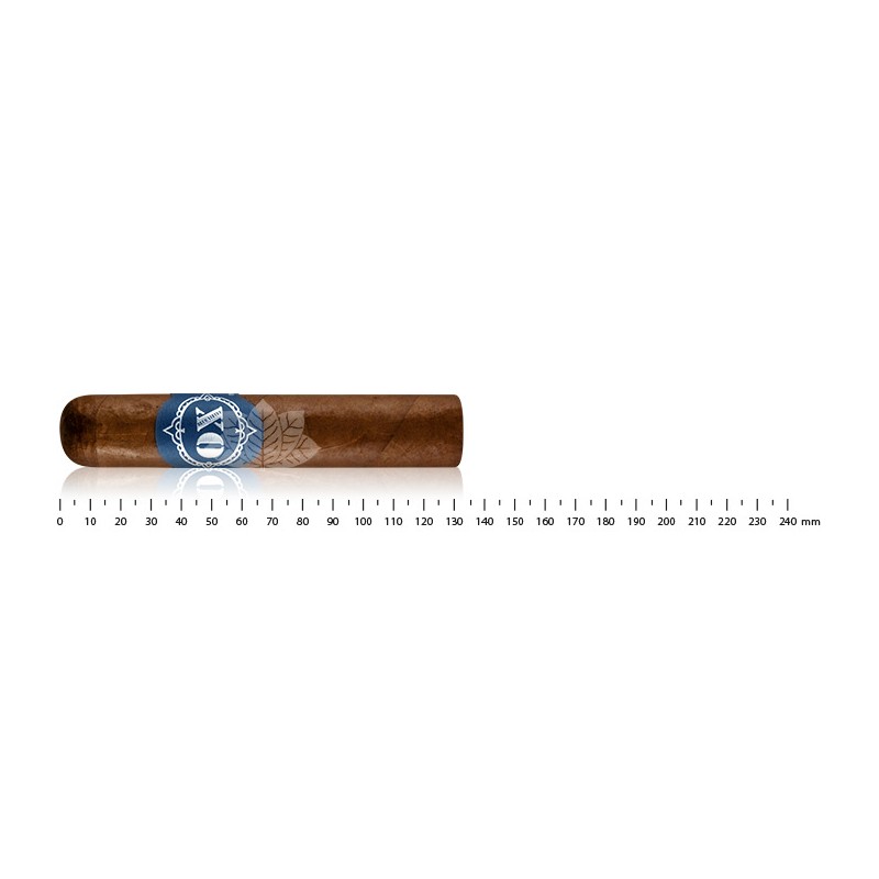 OX Blue Velvet