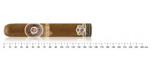 Alec Bradley 20 Anniversary Ceremonias