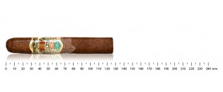 Pack découverte cigares du Honduras Robusto