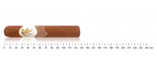 Pack découverte cigares du Honduras Robusto