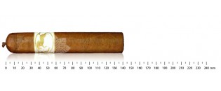 Pack découverte cigares du Honduras Gordo