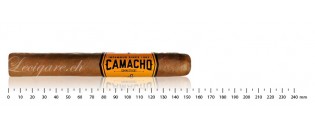 Camacho Connecticut Toro