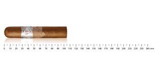 Pack découverte cigares Vega Fina (8 cigares)