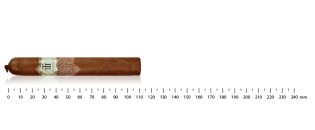 COHIBA EXQUISITOS