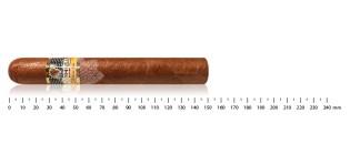 Cohiba Siglo VI