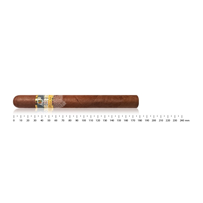 Cigare Cohiba Esplendidos - Cigares cubains en boîte de 25 cigares