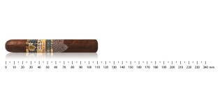 Cohiba Secretos (Série Maduro 5)