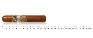 Cohiba Robusto