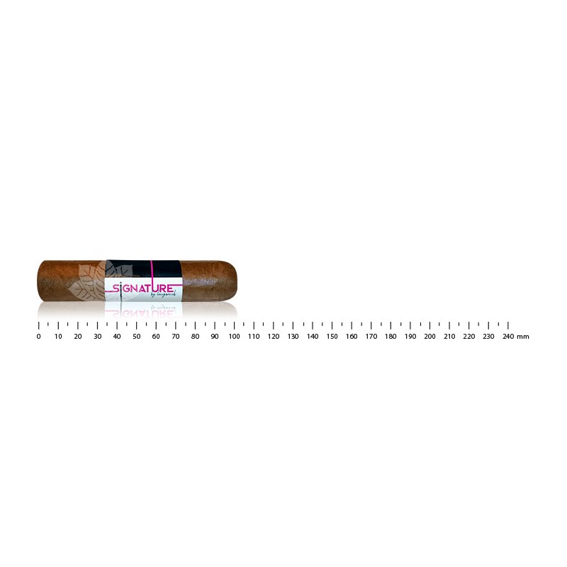 Signature by Lecigare - Short Robusto