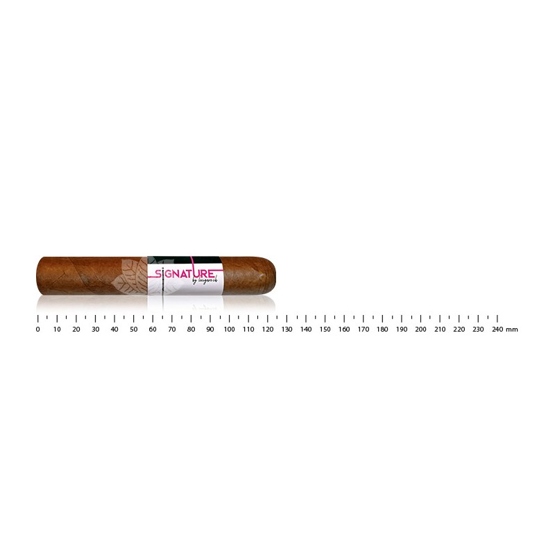 Signature by Lecigare - Robusto
