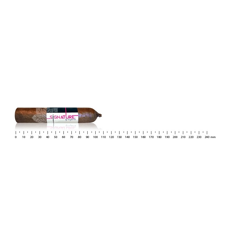 Signature by Lecigare Batch21 - Short Robusto