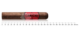 Camacho Corojo Gordo