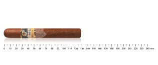 Cohiba Siglo II AT (3)