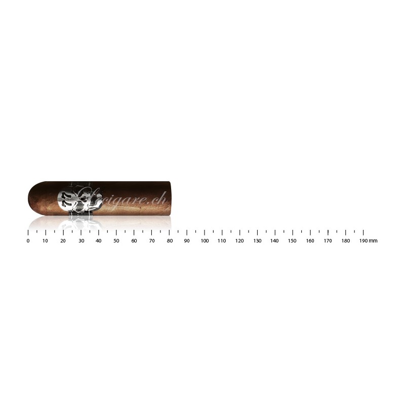 Cigare 77 - El Nino