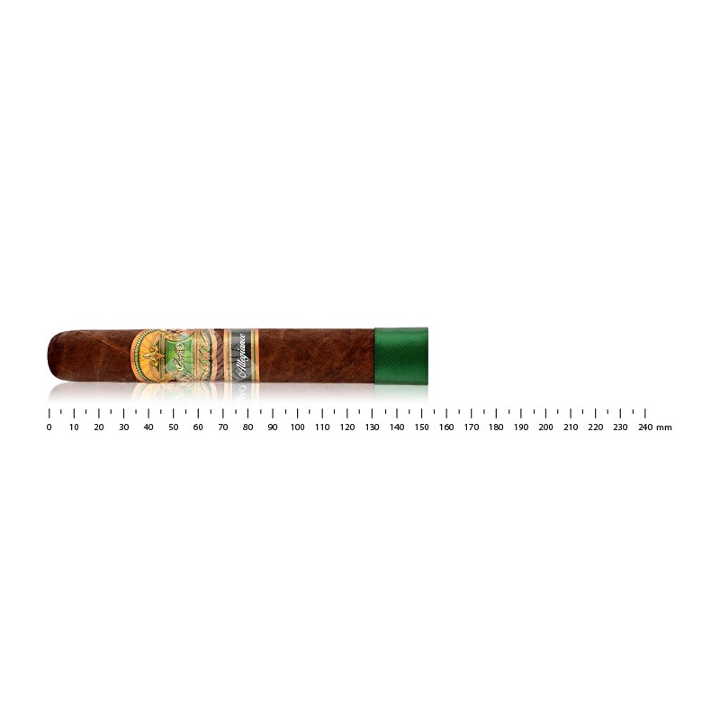 E.P Carillo Allegiance Confidant