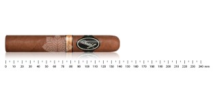 Davidoff Nicaragua Toro