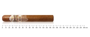 Padron Damaso No.15