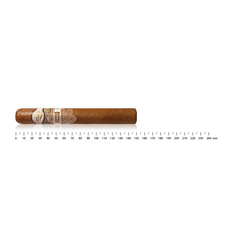 Padron Damaso No.15