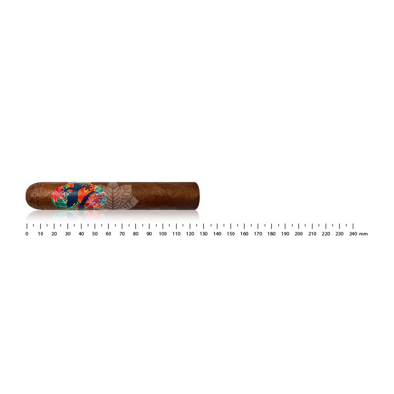 Gecko Robusto 52 by Lecigare