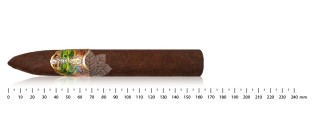 Oliva Master Blends 2006 Torpedo